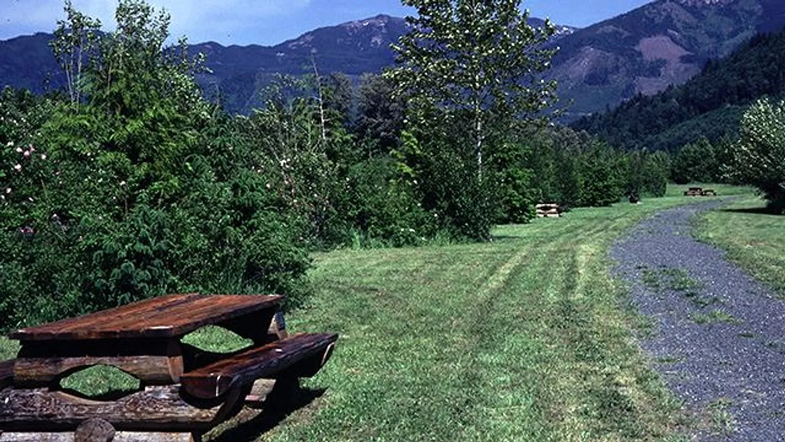 Picnic tables and the riverside path at Deming Homestead Eagle Park below forested foothills