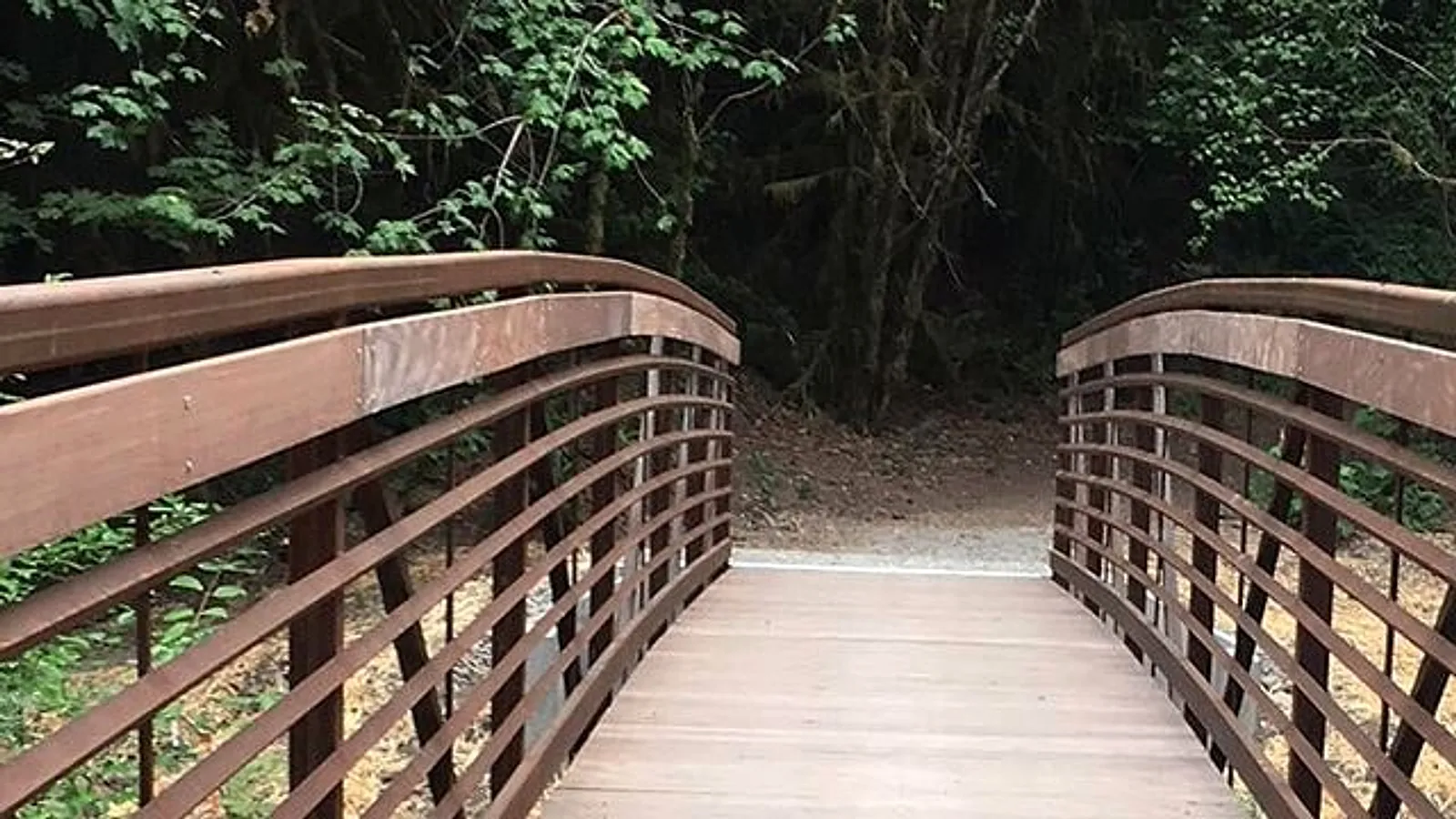 The pedestrian bridge on the Maple Creek Park loop trail