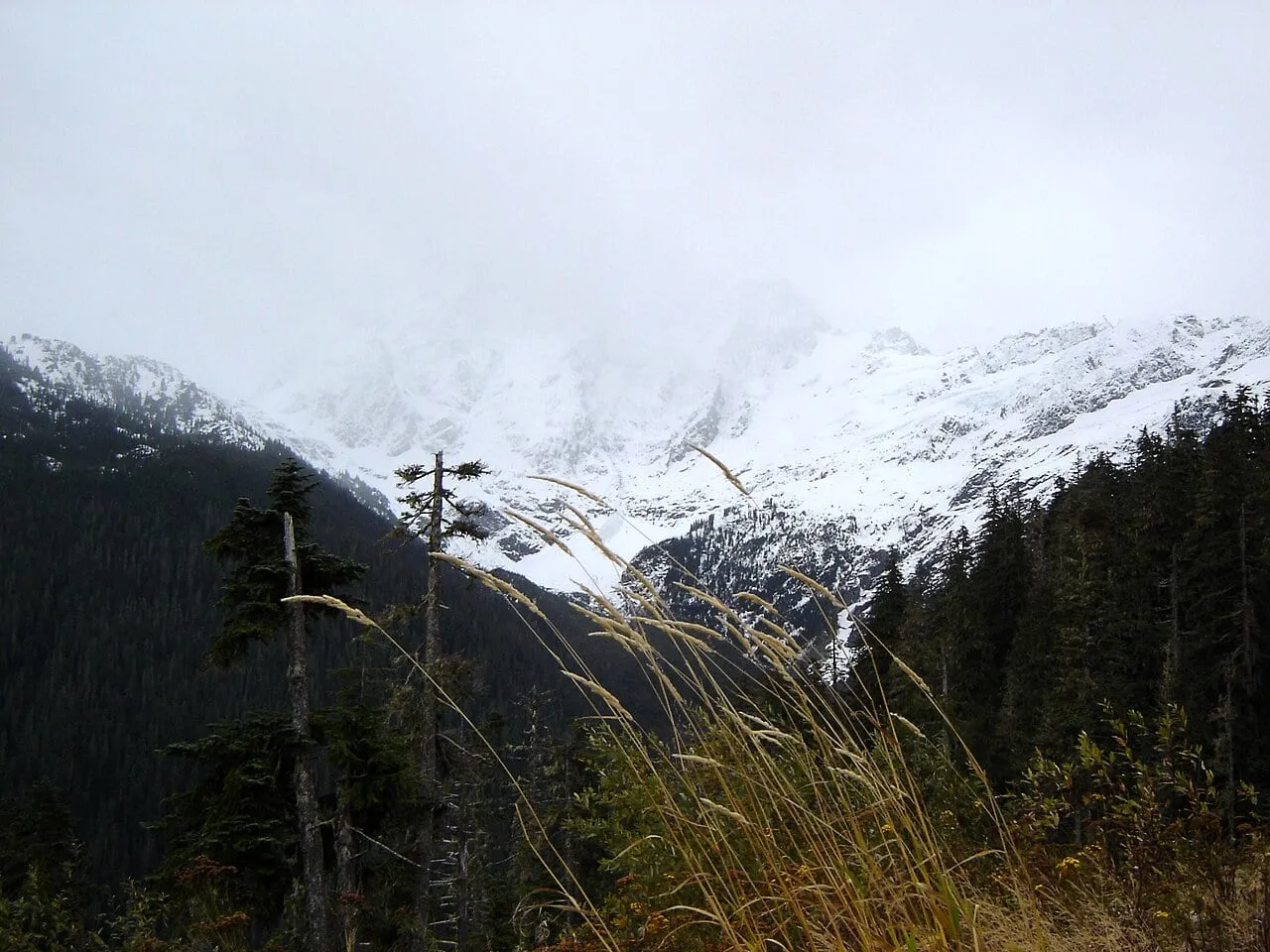 Early-season snow on the high slopes above Mt. Baker Ski Area in late October with autumn grasses still standing below