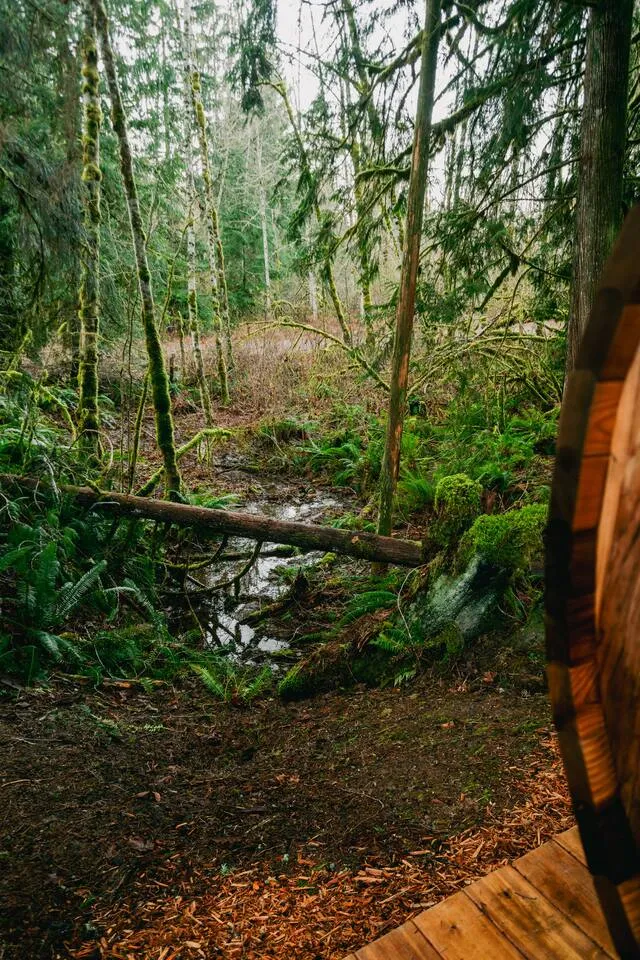 The A-Frame — photo 14