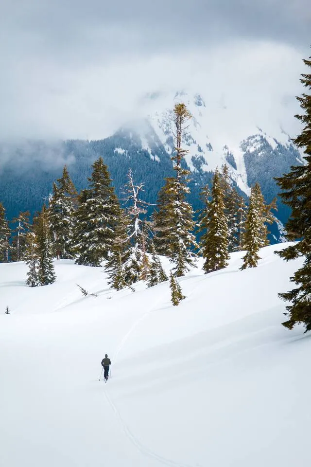 Snowshoeing near Mt. Baker: five routes from easy to serious