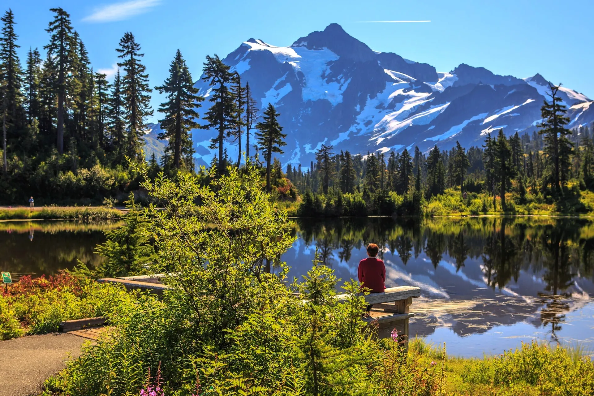 Mount Shuksan reflected in Picture Lake with a green summer shoreline