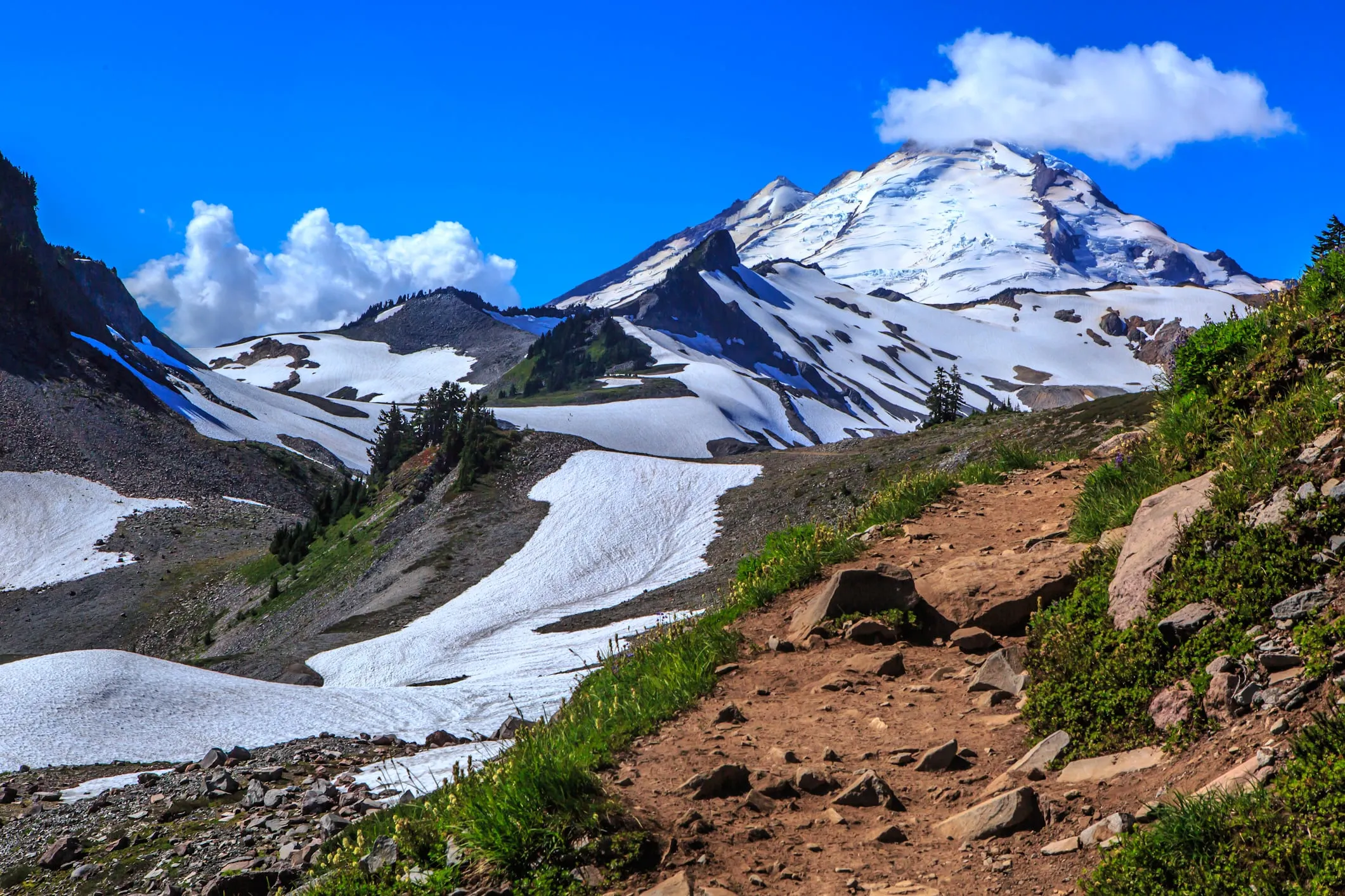 Ptarmigan Ridge trail crossing alpine slopes and late-summer snowfields toward Mount Baker