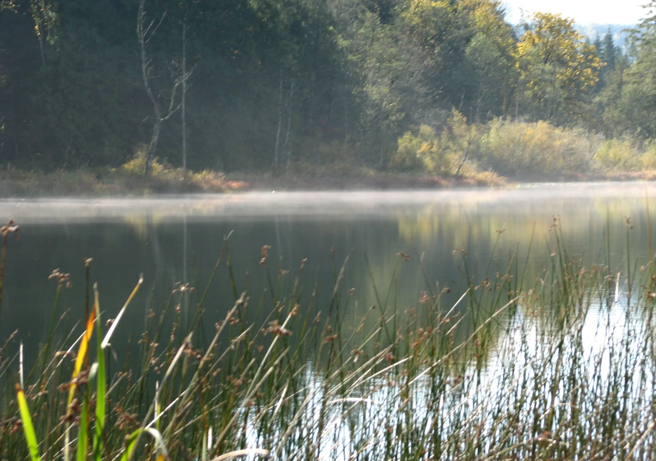 Morning mist on Silver Lake in October