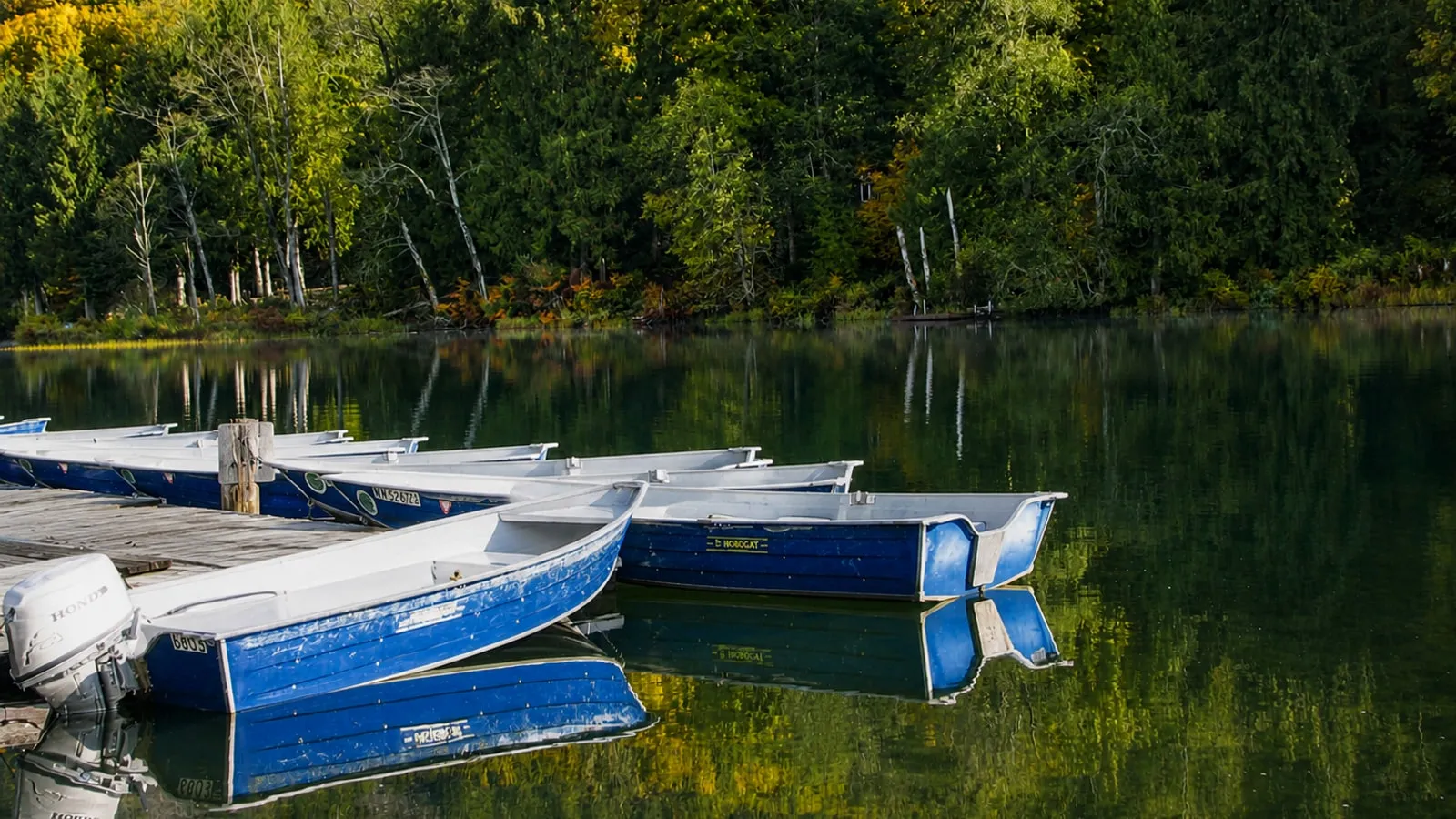 Blue rental rowboats at the Silver Lake Park dock on a calm fall morning