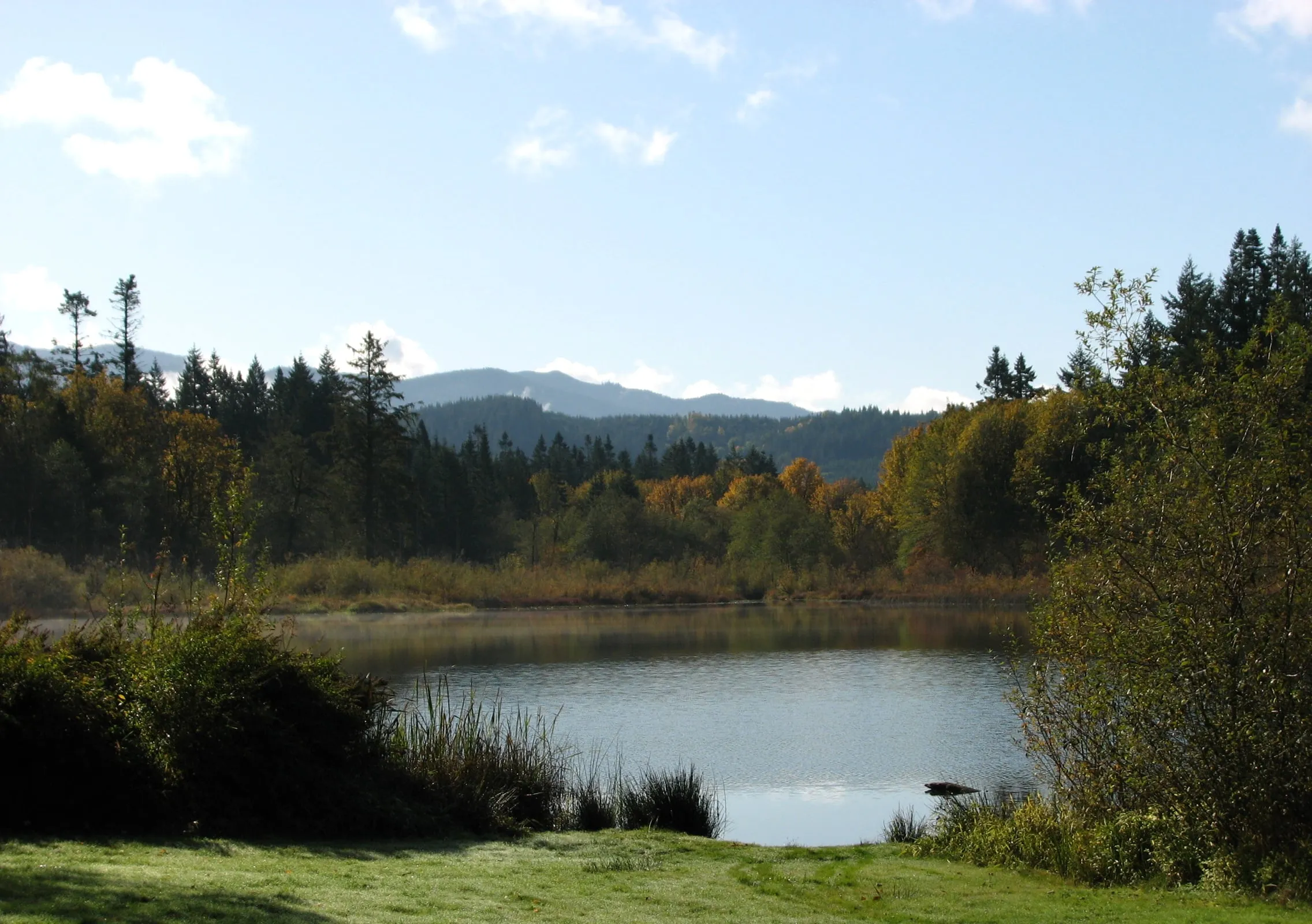Silver Lake Park in Maple Falls: camping, cabins, boats, and the quiet park next door