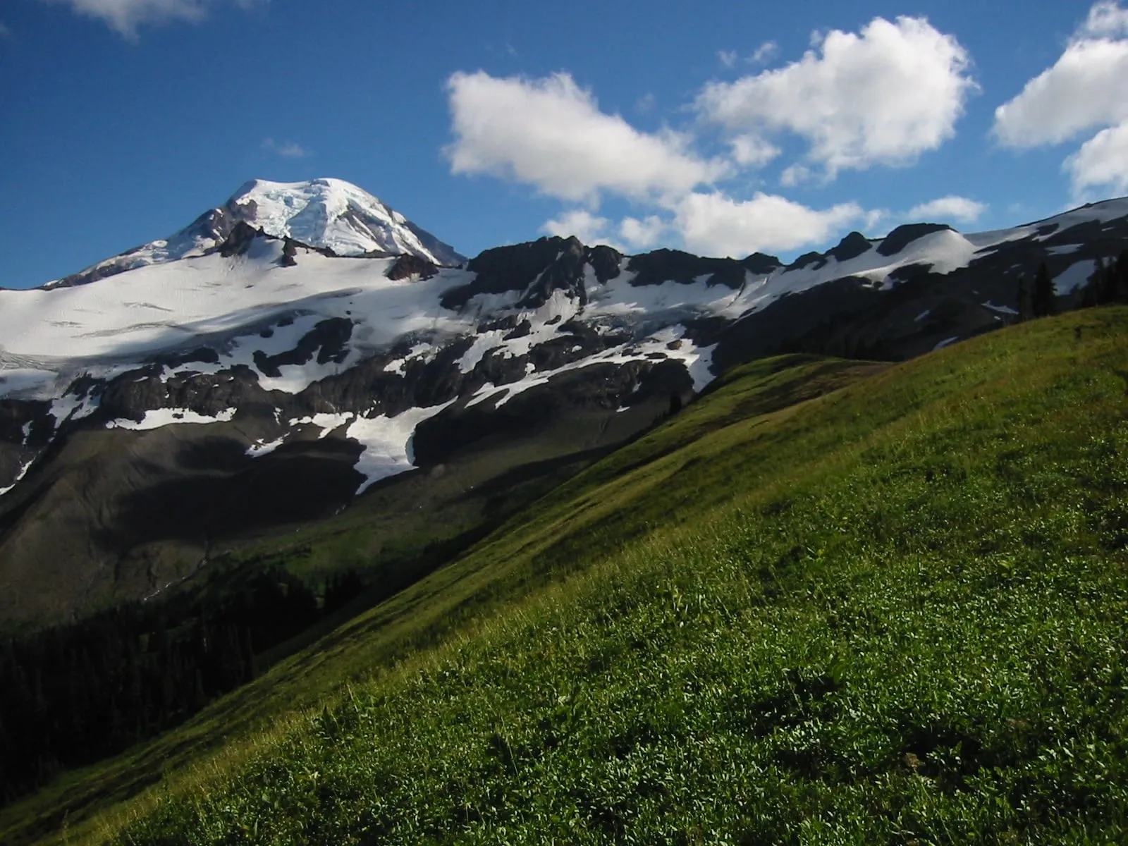 Green meadow on Skyline Divide with Mount Baker and Hadley Peak rising beyond the ridge