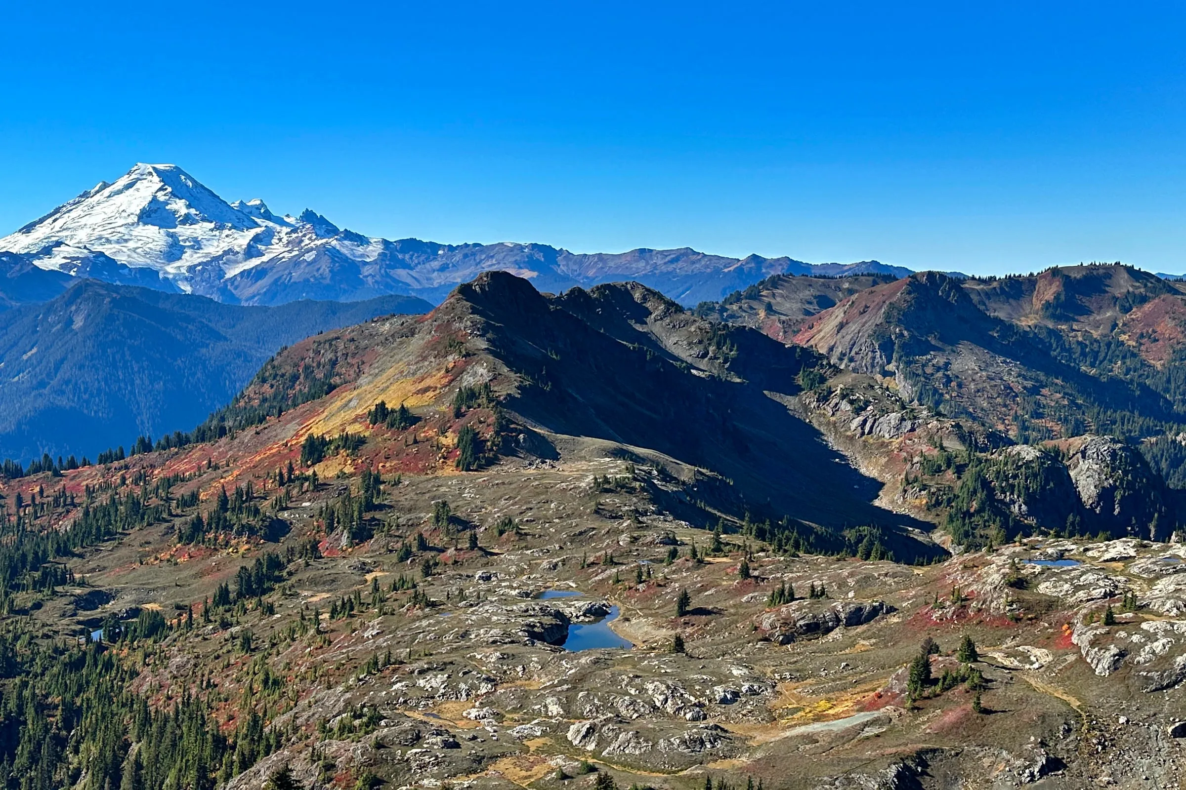 Mount Baker rising beyond the Yellow Aster Butte tarn basin in autumn colour, North Cascades, Washington